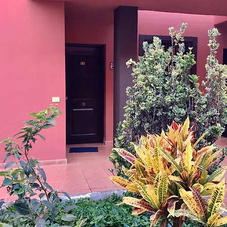 Dreaming The Sun Tenerife Διαμέρισμα Costa Del Silencio