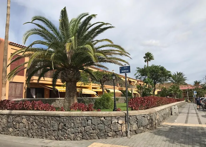 Appartamento Dreaming The Sun Tenerife *